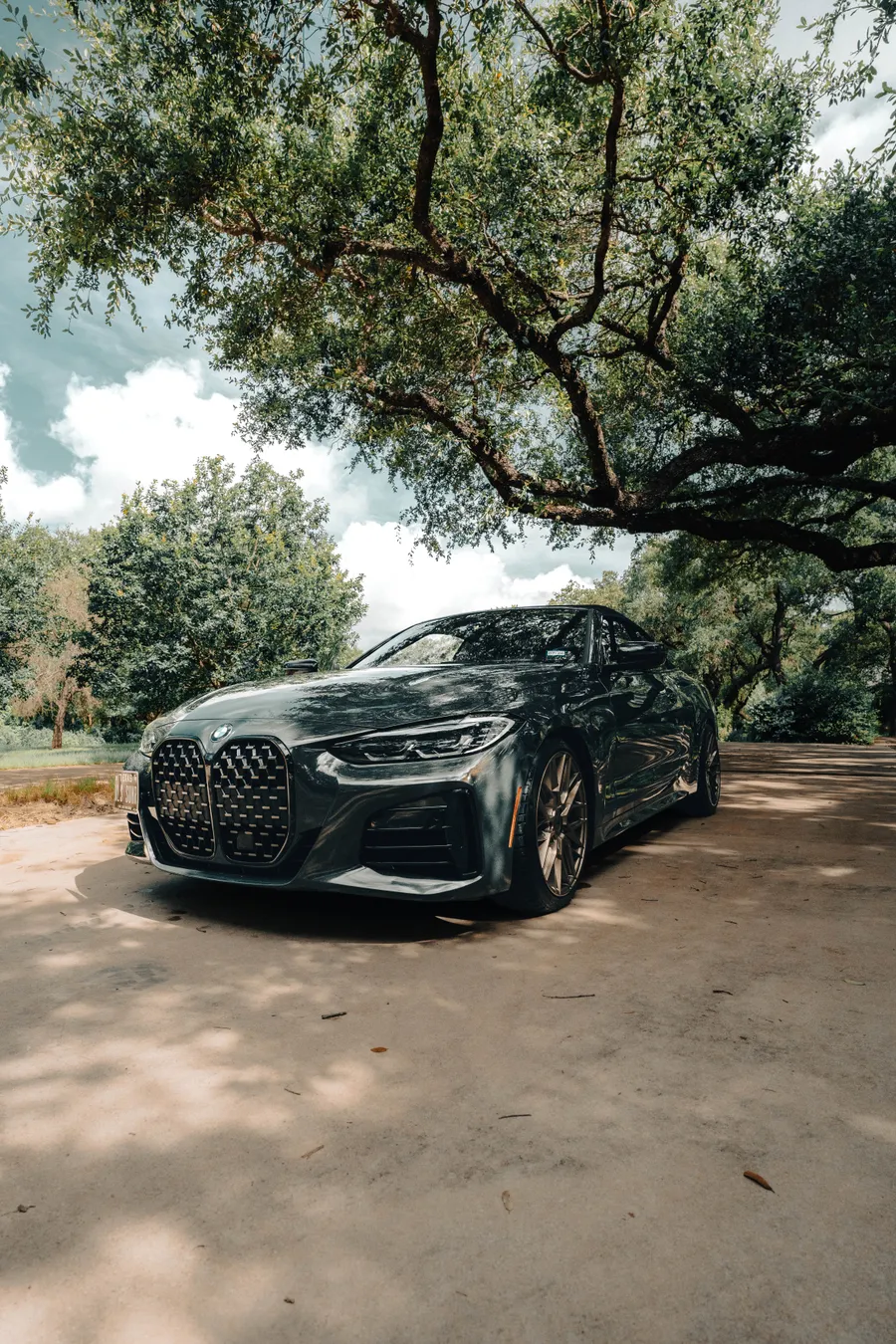 Clean, glossy finished vehicle exterior parked under trees
